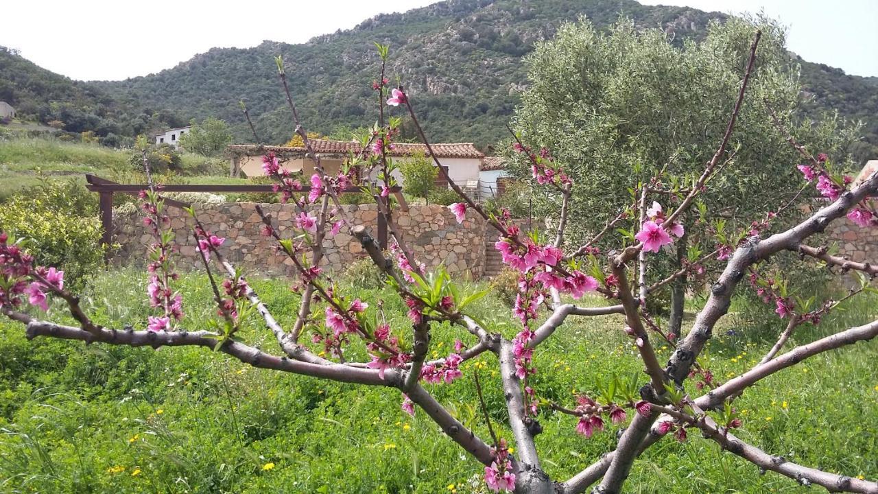 La Casetta Rosa Тертения Экстерьер фото